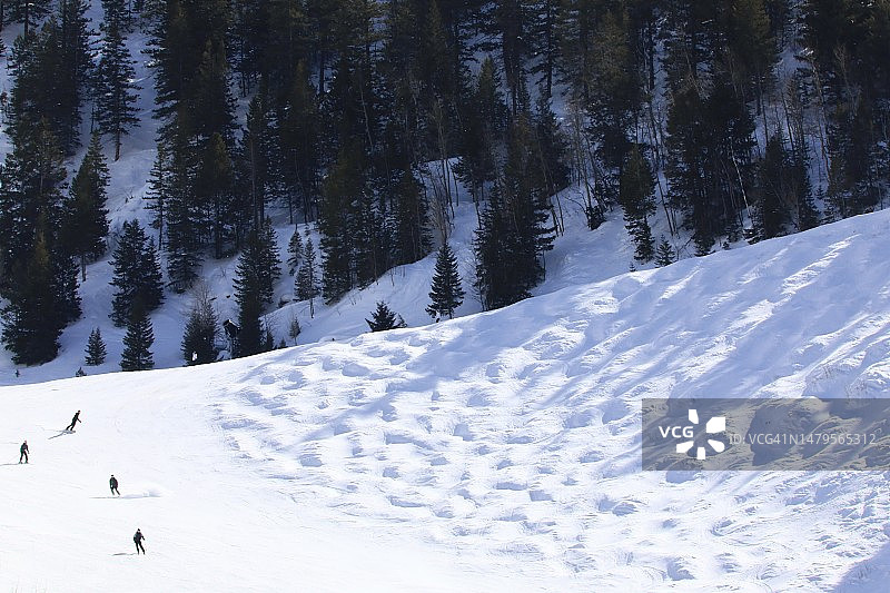 在白雪皑皑的斜坡上速降滑雪图片素材