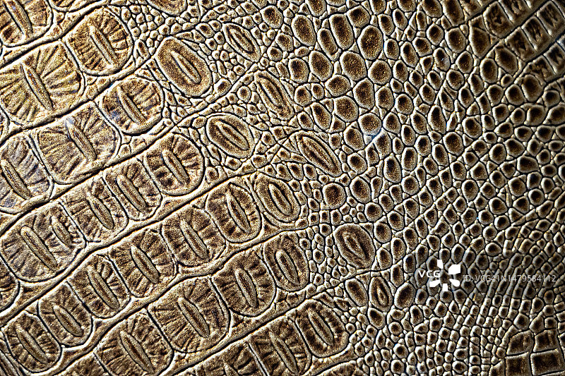 橙棕色鳄鱼皮革特写镜头图片素材
