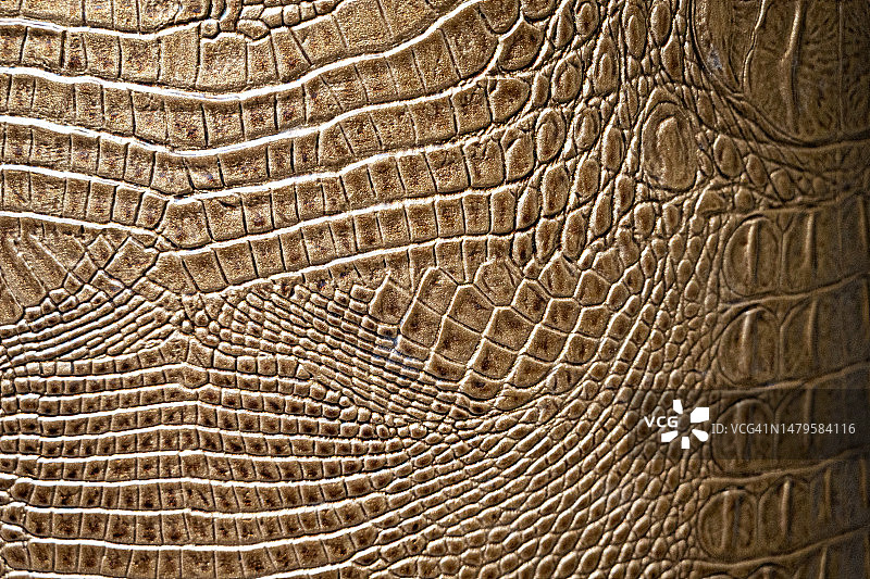 橙棕色鳄鱼皮革特写镜头图片素材