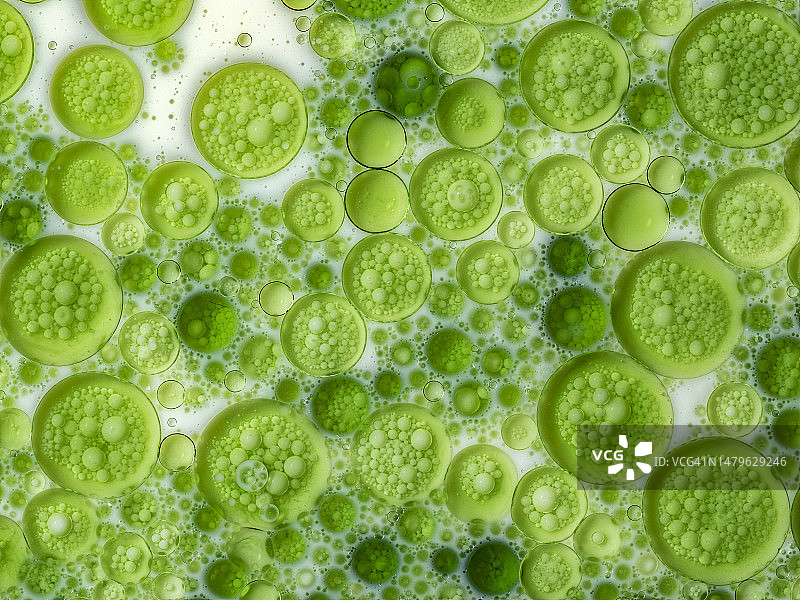 漂浮在白色液体上的气泡特写图片素材