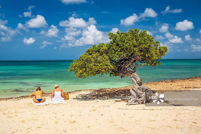 两名女子坐在加勒比海滩上图片素材