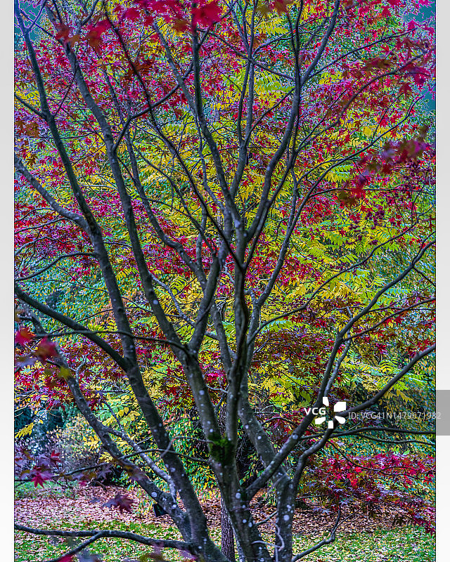 自然美景图片素材