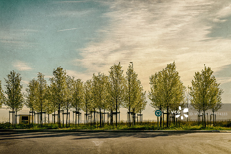 有受保护树木的环岛图片素材