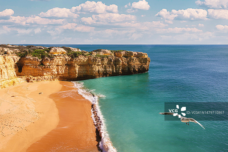 葡萄牙阿尔布费拉海岸线海鸥图片素材