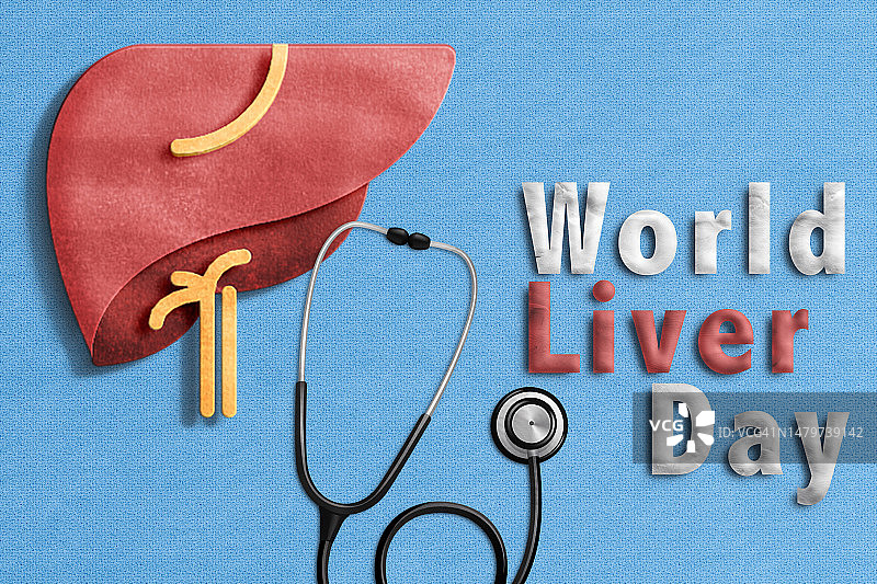世界肝脏日：4月19日图片素材