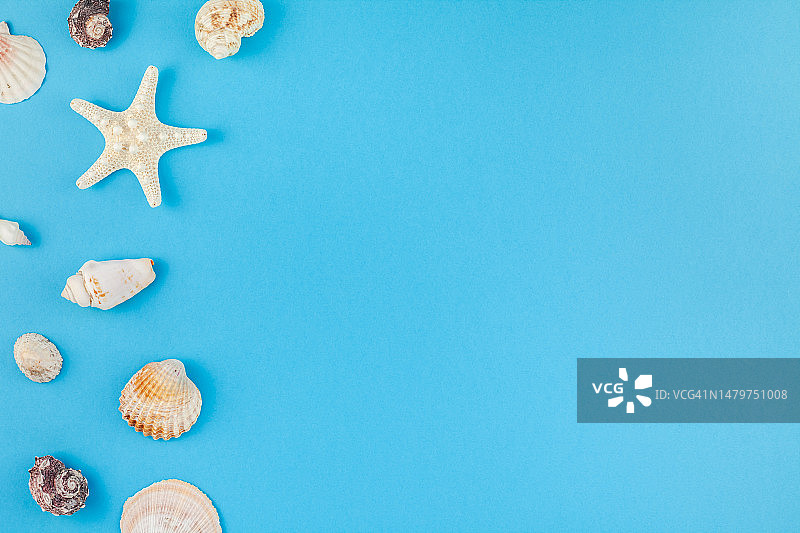 克罗地亚普拉，蓝色背景上海贝的俯视图图片素材