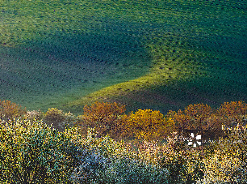 捷克共和国海边的植物高角度照片图片素材