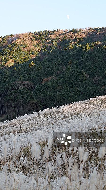日本雪景风光图片素材