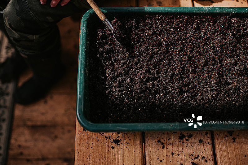 装满土壤的幼苗托盘的简单俯视图像图片素材
