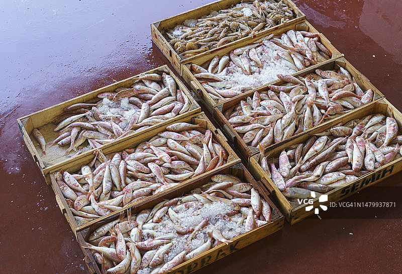 土耳其安塔利亚海鲜市场的新鲜虾和红鲻鱼特写图片素材