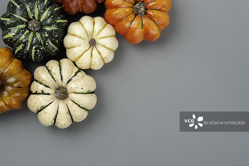 灰色背景上的小南瓜，带有设计用的复制空间图片素材