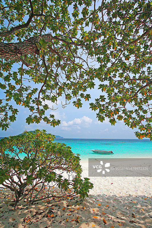 泰国斯米兰岛的清水白沙图片素材