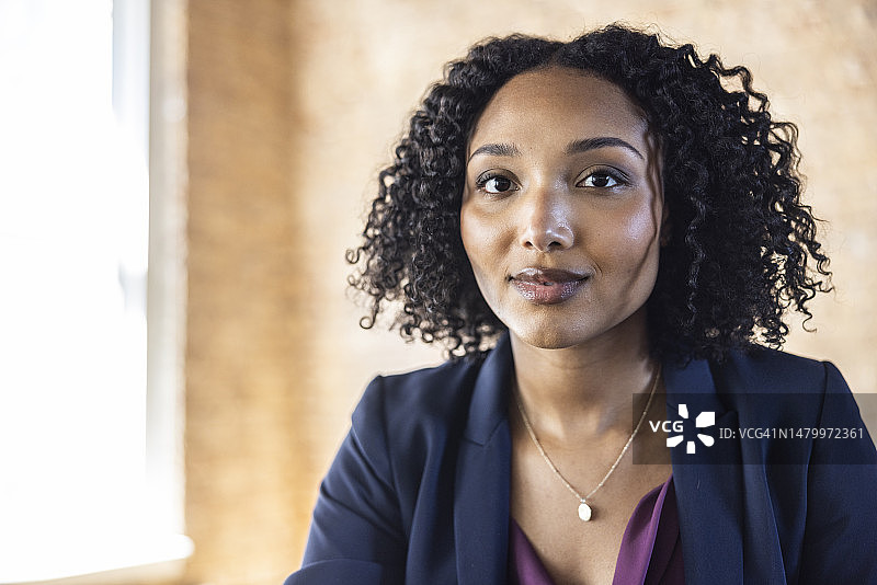 在现代会议室中的女商人肖像图片素材