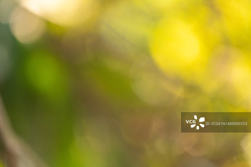 绿色黄色散景模糊图片素材