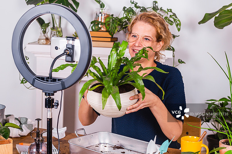 在家录制植物护理视频博客的女人图片素材