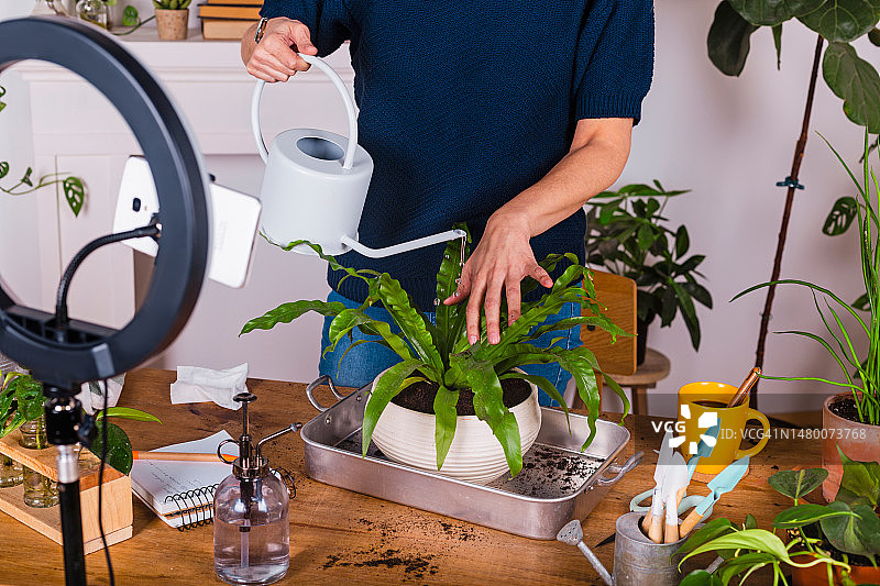 在家录制植物护理视频博客的女人图片素材