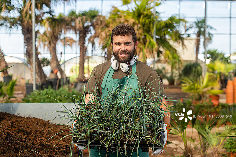 年轻男人在棕榈树苗圃工作图片素材