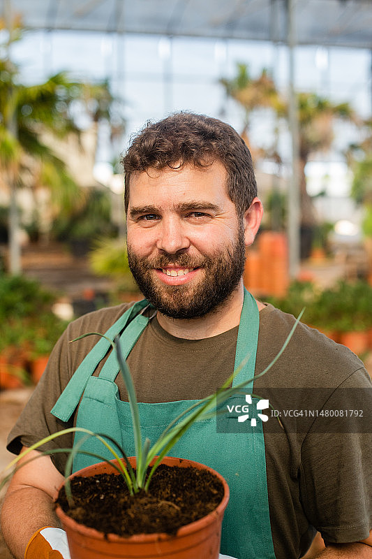 年轻男人在棕榈树苗圃工作图片素材