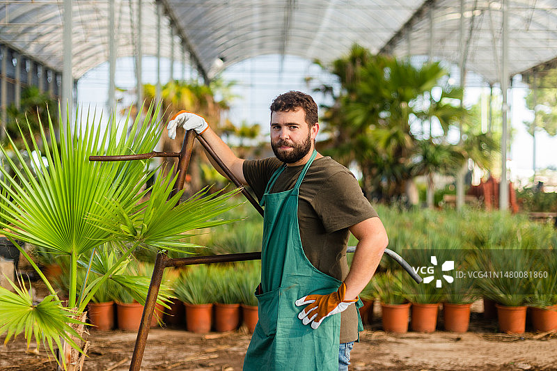 在棕榈树苗圃工作的年轻男人肖像图片素材