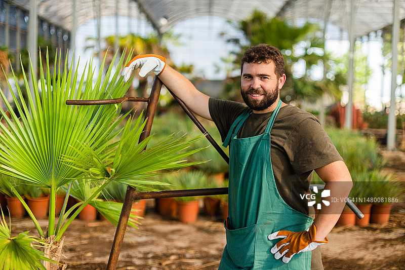 在棕榈树苗圃工作的年轻男人肖像图片素材