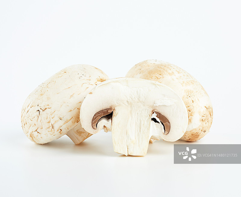 罗马尼亚白背景上的新鲜蘑菇图片素材