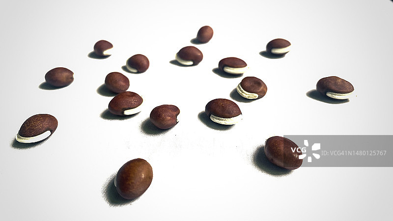 白色背景下的烘焙咖啡豆特写，孟加拉国图片素材