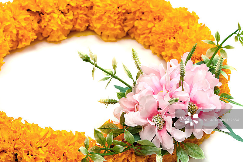 白色背景上的黄色万寿菊花环，罗马尼亚图片素材