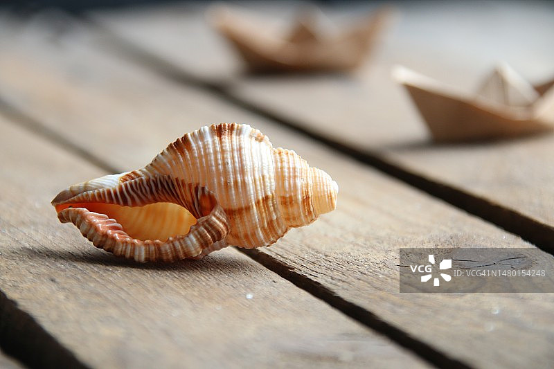 木质背景上的贝壳：夏季概念图片素材