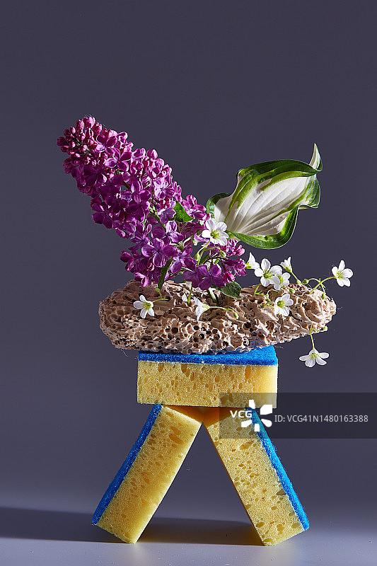 桌上花瓶里的花朵特写，背景是墙图片素材