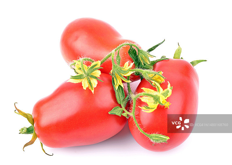 阿拉伯联合酋长国，白色背景下的西红柿特写图片素材