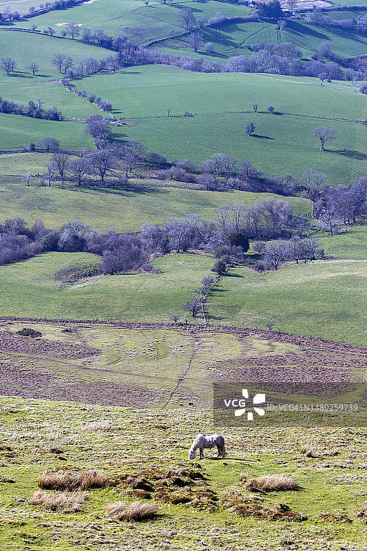 英国威尔士波伊斯郡的特温帕山图片素材