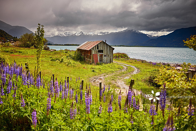 智利巴塔哥尼亚卡雷拉将军湖岸边的老棚屋图片素材