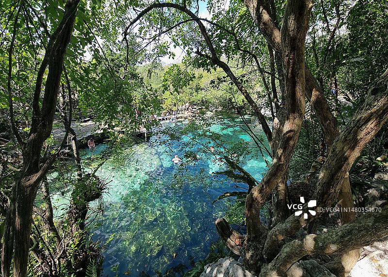 尤卡坦半岛卡门海滩附近蓝色天然井景观图片素材