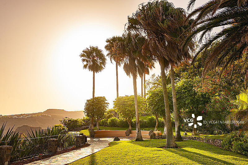 加那利群岛戈梅拉岛公共花园图片素材