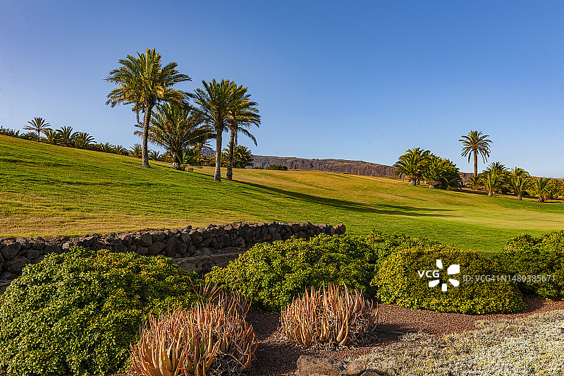 加那利群岛戈梅拉岛高尔夫球场图片素材