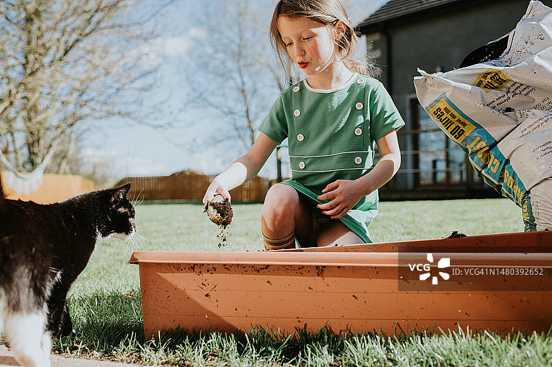 好奇的猫看着小主人享受园艺图片素材