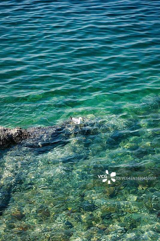 清澈透明的海滩图片素材