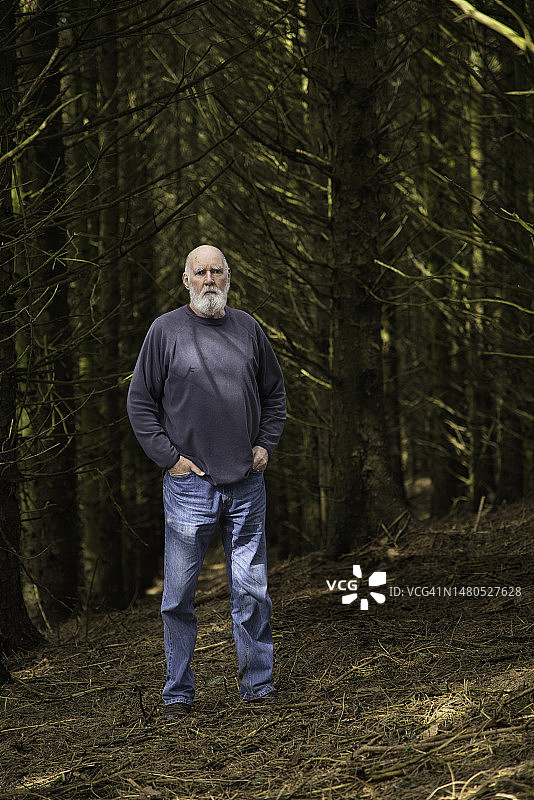 年长的男人在树林里散步图片素材