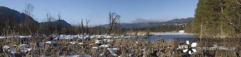 冬季湖泊与枯草全景图片素材