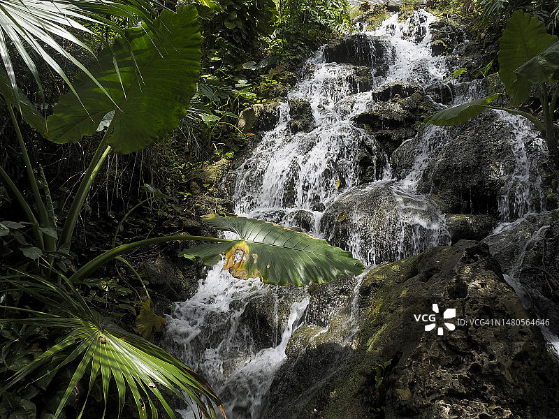 尤卡坦半岛 Xcaret 瀑布景观图片素材