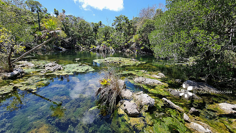 墨西哥尤卡坦半岛塞尔哈天坑图片素材