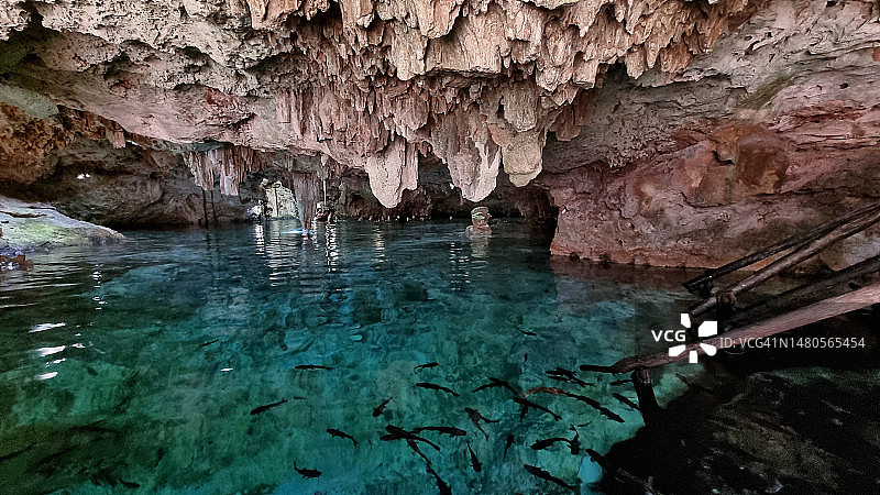 尤卡坦半岛Aktun Chen天然井的景色图片素材