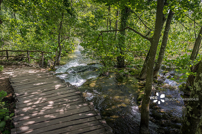 克罗地亚普利特维采湖群国家公园的森林溪流和木栈道图片素材