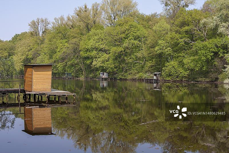 德国莱茵-普法尔茨南部Jockgrim附近的旧莱茵河与渔业码头图片素材