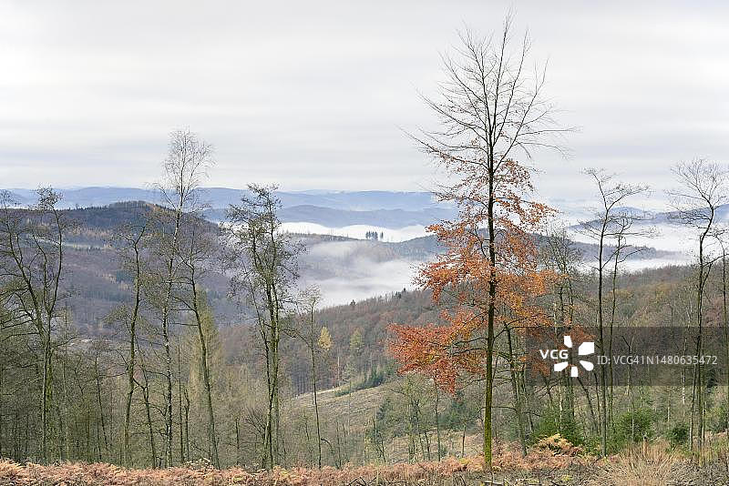 德国秋季混合森林和山峰的景色图片素材