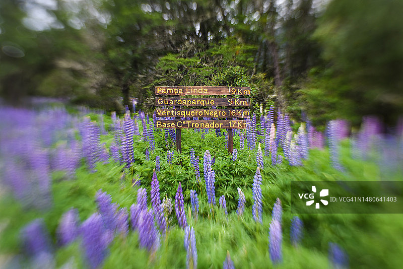 国家公园内的木制标牌图片素材