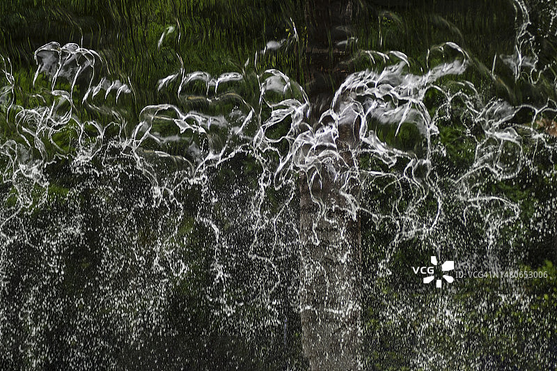 热带花园中的水景：公园里的水花图片素材