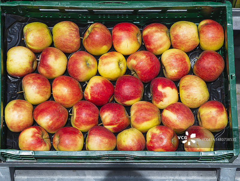 塑料盒中待售的许多苹果图片素材