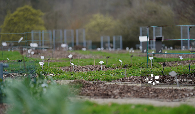 植物园图片素材