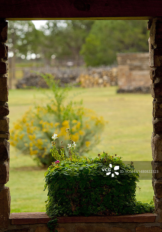 透过户外窗户的景色图片素材